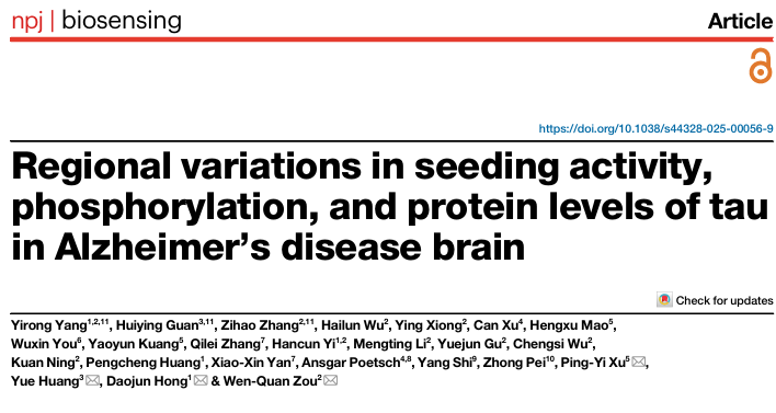 pTau217 Marks Tau Seeding Hotspots in Early Alzheimer’s Cortex